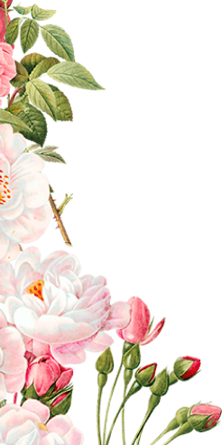 Fleur Envie Fleuriste A La Faute Sur Mer L Aiguillon Sur Mer Saint Michel En L Herm Grues Bf Produits 1